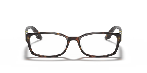 RB5198 OPTICS
