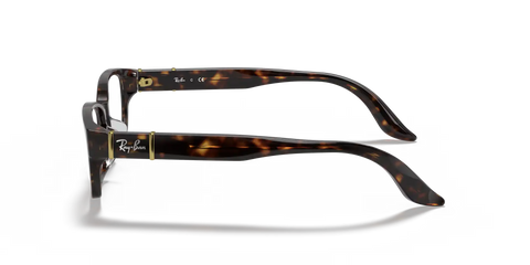RB5198 OPTICS