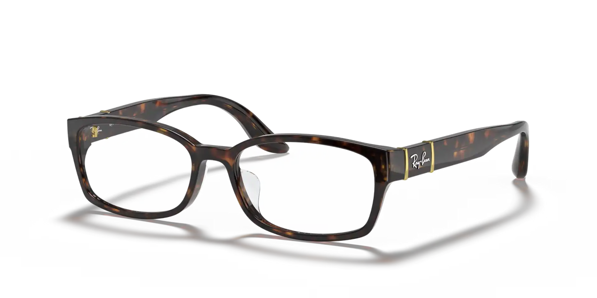 RB5198 OPTICS