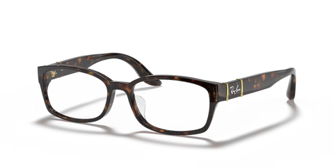 RB5198 OPTICS