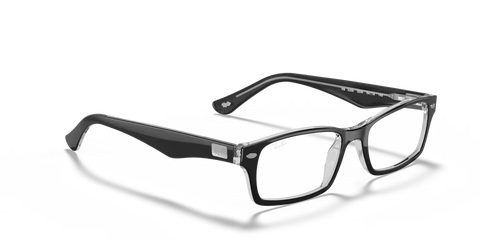 RB5206 OPTICS