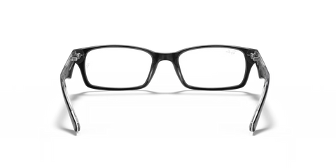 RB5206 OPTICS