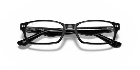 RB5206 OPTICS