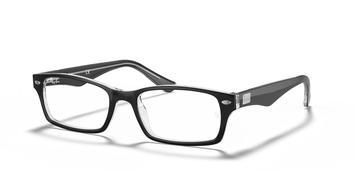 RB5206 OPTICS