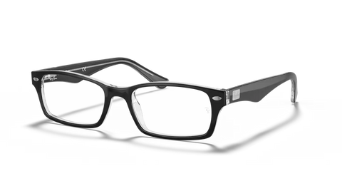 RB5206 OPTICS