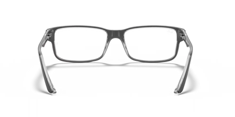 RB5245 OPTICS