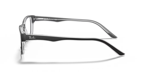 RB5245 OPTICS