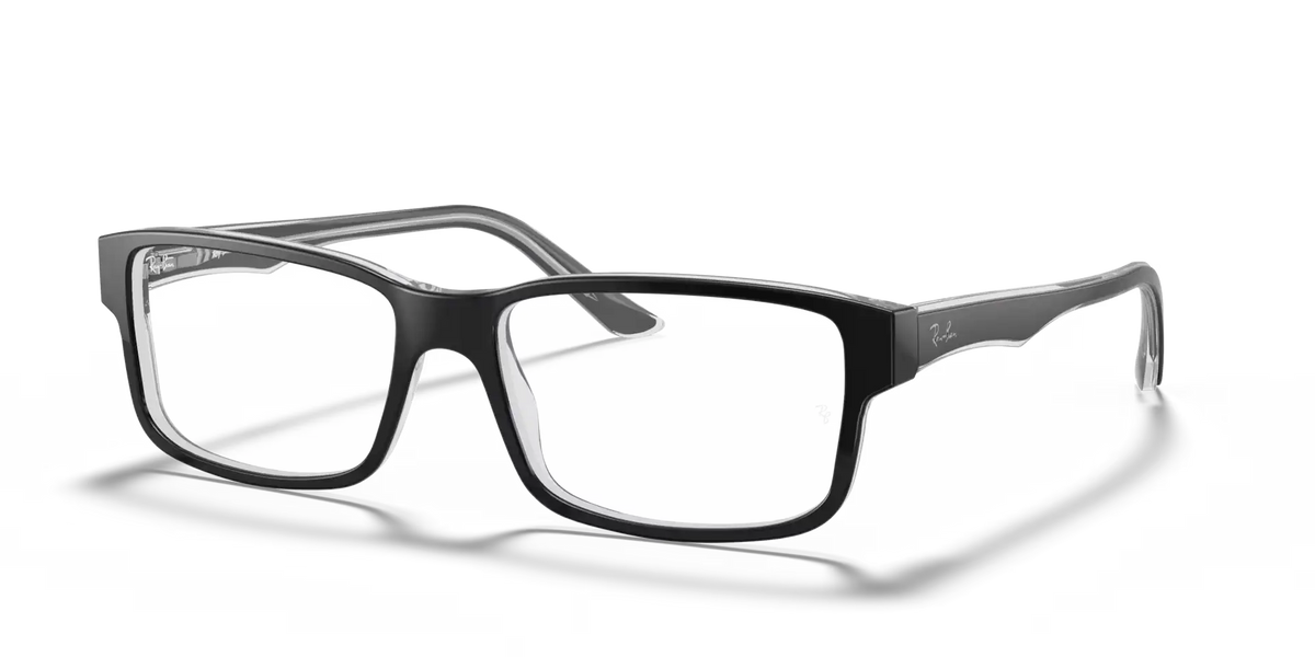 RB5245 OPTICS