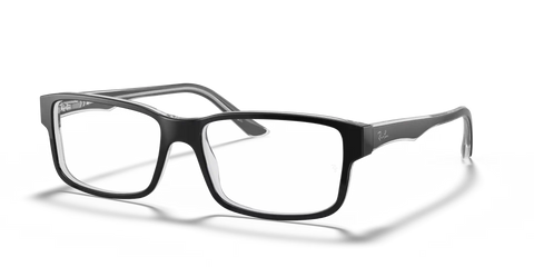 RB5245 OPTICS
