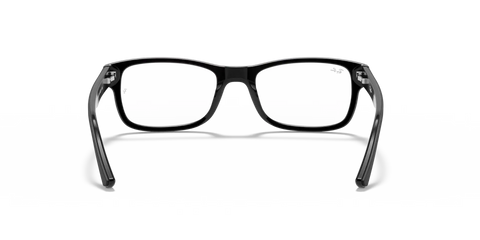 RB5268 OPTICS