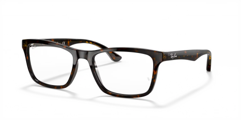RB5279 OPTICS