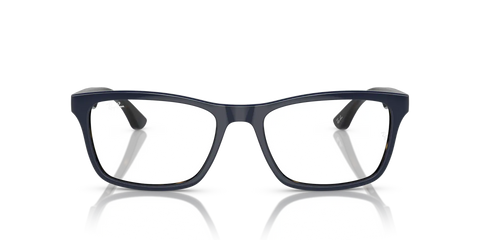 RB5279 OPTICS