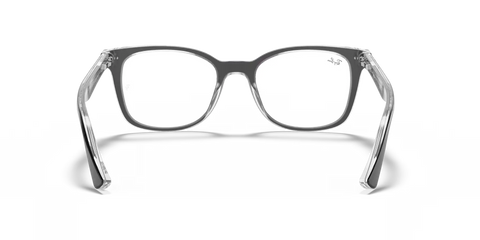 RB5285 OPTICS