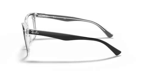RB5285 OPTICS