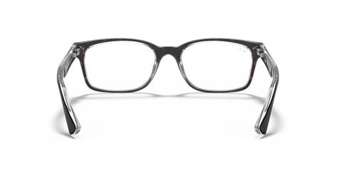 RB5286 OPTICS