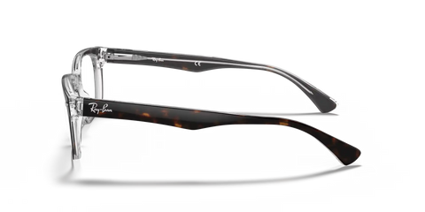 RB5286 OPTICS
