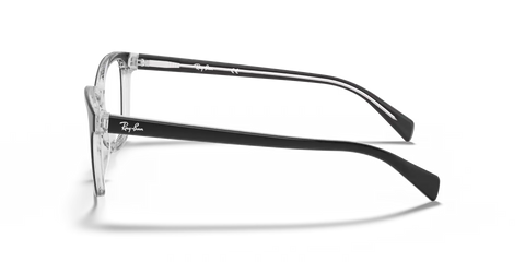 RB5362 OPTICS