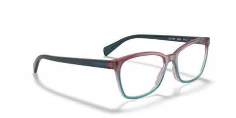 RB5362 OPTICS