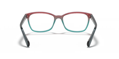 RB5362 OPTICS
