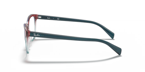 RB5362 OPTICS