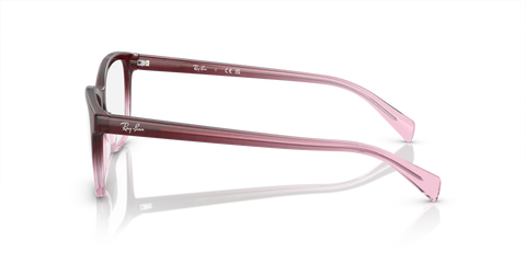 RB5362 OPTICS
