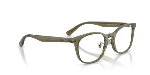 RB5386 OPTICS