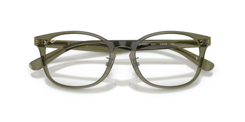RB5386 OPTICS