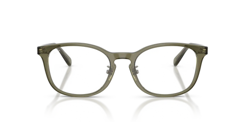 RB5386 OPTICS
