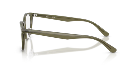 RB5386 OPTICS