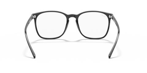 RB5387 OPTICS