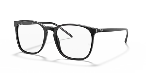 RB5387 OPTICS
