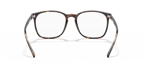 RB5387 OPTICS