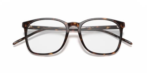 RB5387 OPTICS