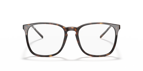 RB5387 OPTICS