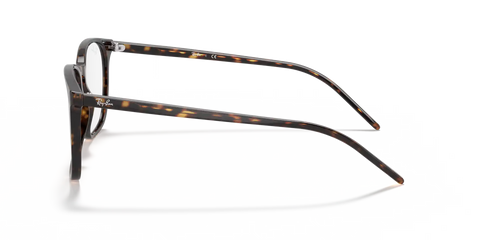 RB5387 OPTICS