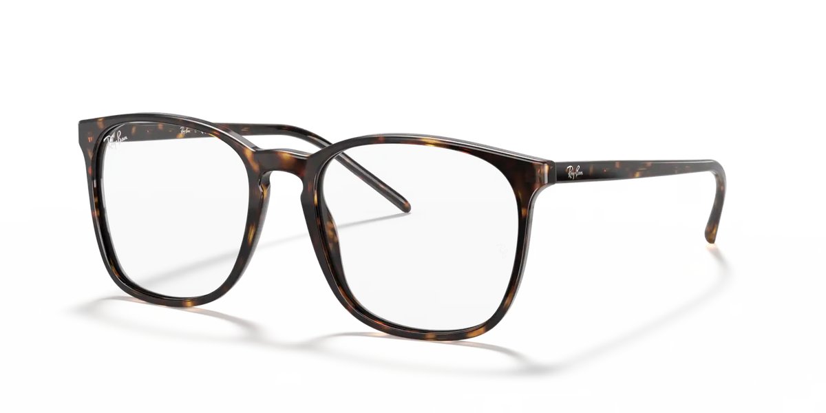 RB5387 OPTICS