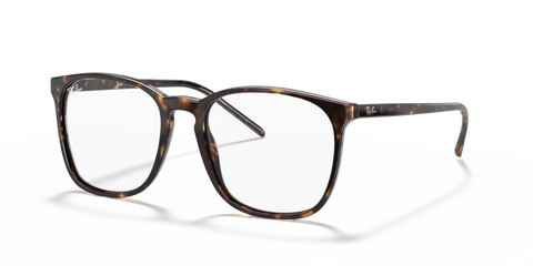 RB5387 OPTICS