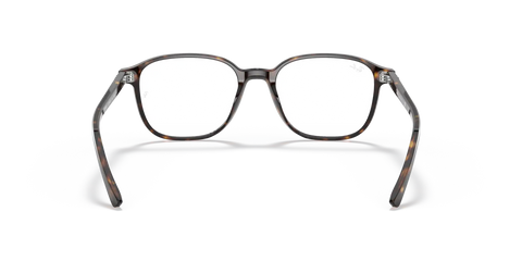 LEONARD OPTICS