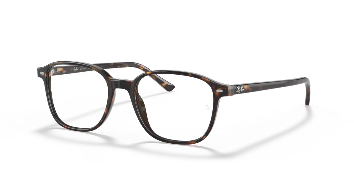 LEONARD OPTICS