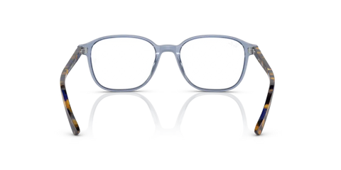 LEONARD OPTICS