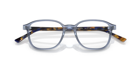 LEONARD OPTICS