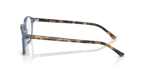 LEONARD OPTICS