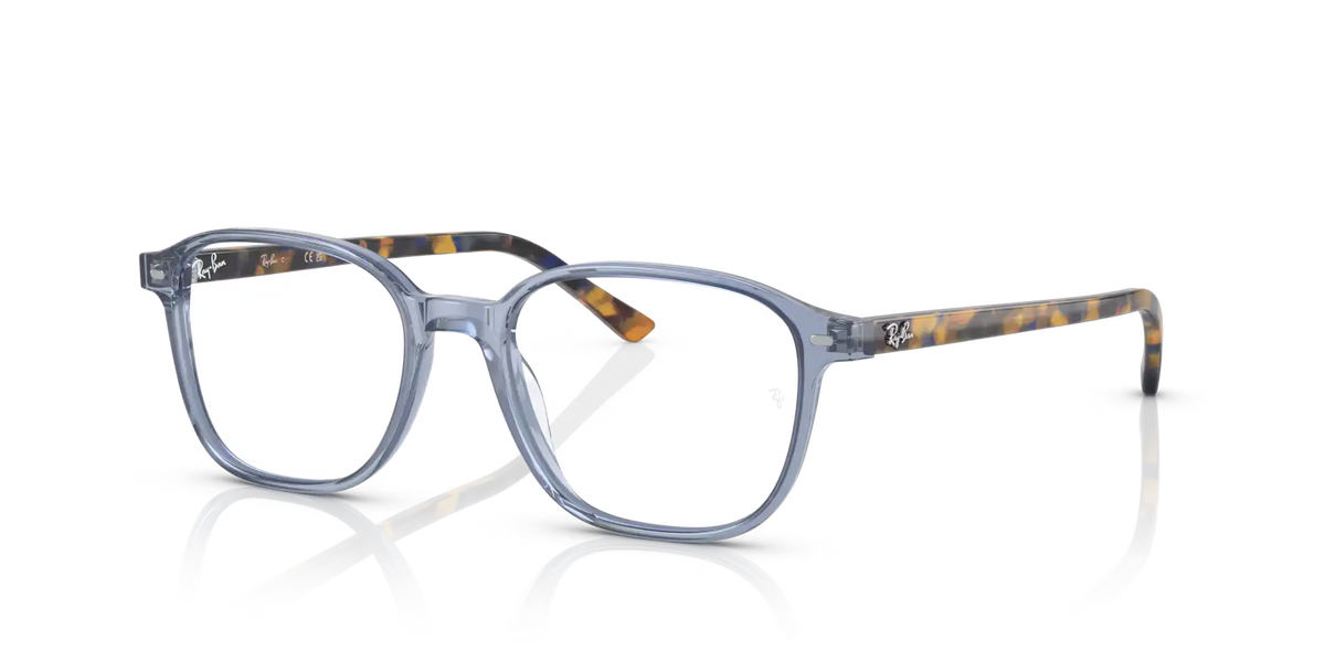 LEONARD OPTICS