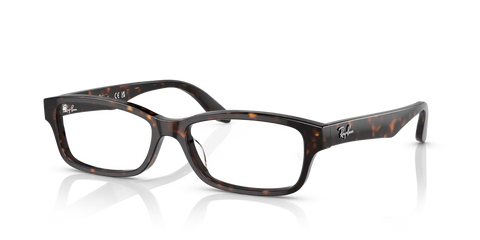 RB5415 OPTICS