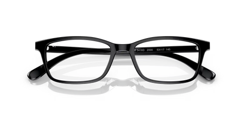 RB5416 OPTICS