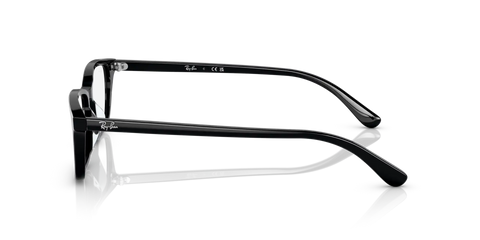 RB5416 OPTICS