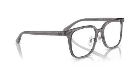 RB5419 OPTICS