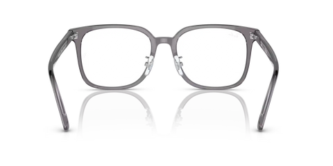 RB5419 OPTICS
