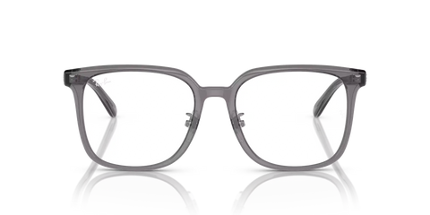 RB5419 OPTICS