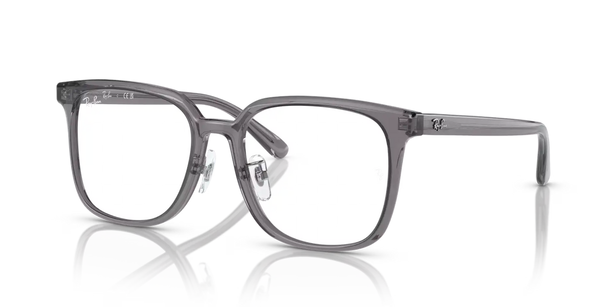 RB5419 OPTICS